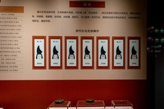 佛山博物馆——京洛风华-4