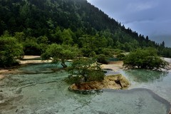 仲夏川北行——黄龙景区【6】告假