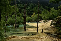 仲夏川北行——黄龙景区【6】告假