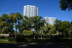 沿江寻秋色（1）