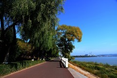 沿江寻秋色（1）