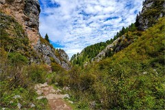 2025年第0757贴-甘南朗木寺大峡谷（1103）