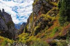 2025年第0757贴-甘南朗木寺大峡谷（1103）