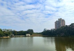 东郊公园的秋色。