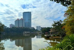 东郊公园的秋色。