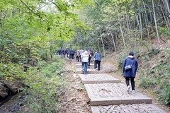 登苏州穹窿山（三）
