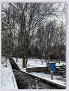 雪【乙巳年-318】