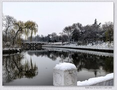 雪【乙巳年-318】