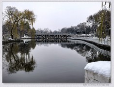 雪【乙巳年-318】