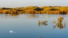 南疆行——尉犁葫芦岛的风景（22）