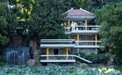 庐州印象（701）西山景区