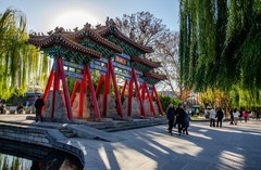 大明湖初冬景色（十）