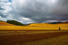 新疆喀拉峻草原 14
