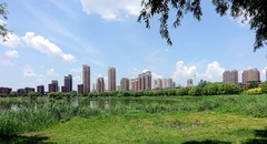 月亮湖夏日