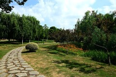 夏景