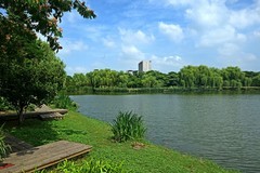 夏景