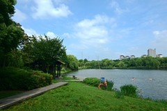 夏景