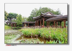 湿地古廊桥。