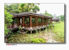 湿地古廊桥。