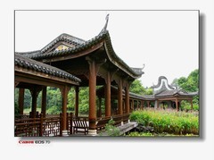 湿地古廊桥。