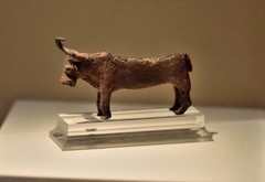 成都博物馆看展【下】