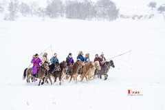 强健&amp;靓丽的牧马人（106）