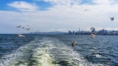 海参崴——艇上拍（13）