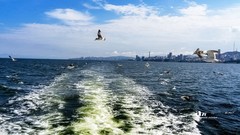 海参崴——艇上拍（13）