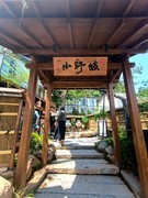 漫步星城 （901）小野坡看 梅 花 鹿