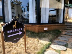 漫步星城 （901）小野坡看 梅 花 鹿