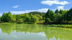 神山之秋