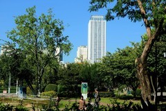 紫阳公园一