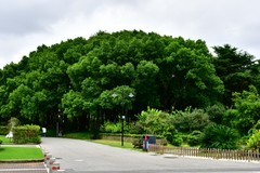 仲秋时节闲游赏秋色