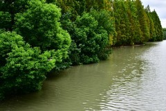 仲秋时节闲游赏秋色