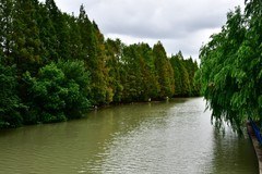 仲秋时节闲游赏秋色