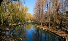 冬日——明湖随拍 （三）