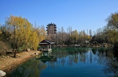 冬日——明湖随拍 （三）