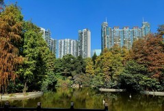 珠江新城的绿地。