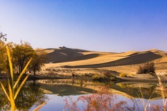 外出随拍（734）.