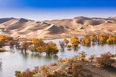 外出随拍（734）.