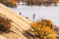 外出随拍（734）.