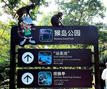 2092--34【不老松：纪实摄影】《山河锦绣》南国风情：去往海南陵水南湾猴岛！