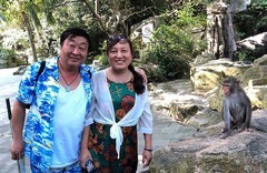2093--35【不老松：纪实摄影】《山河锦绣》南国风情：海南陵水南湾猴岛！