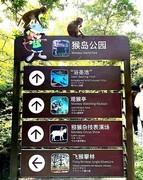2094--36【不老松：纪实摄影】《山河锦绣》南国风情：海南陵水南湾猴岛！