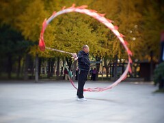 银杏树下飞龙舞