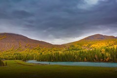 新疆喀纳斯风景28