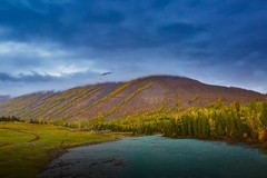 新疆喀纳斯风景28