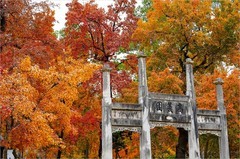 2025年第0900贴-苏州天平山红枫季纪实旅拍（1227）