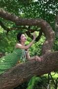 烈士公园歪脖子树