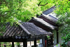 小景随拍（9）